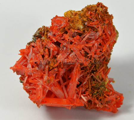 KROKOIT