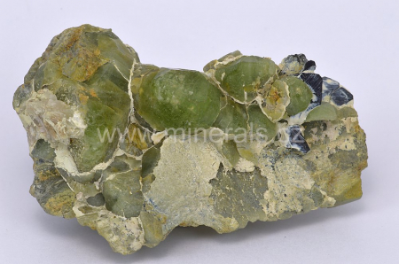 PERIDOT