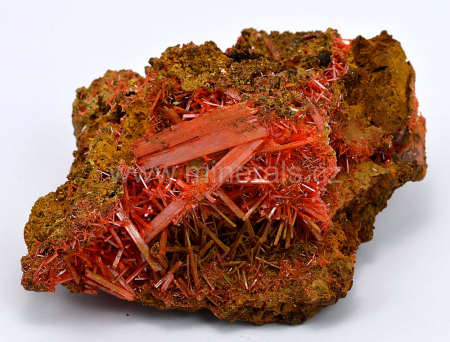 KROKOIT