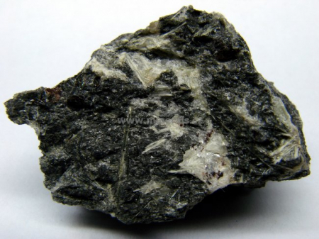 LIZARDIT