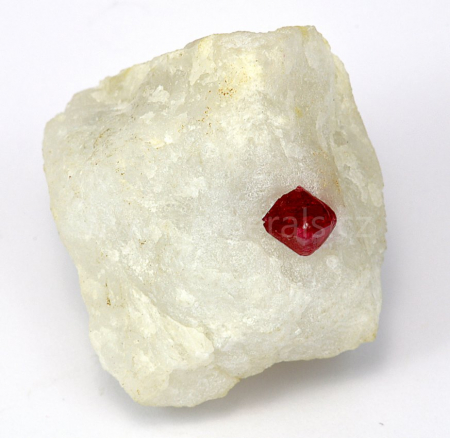 SPINEL