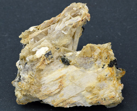 EUDIDYMIT