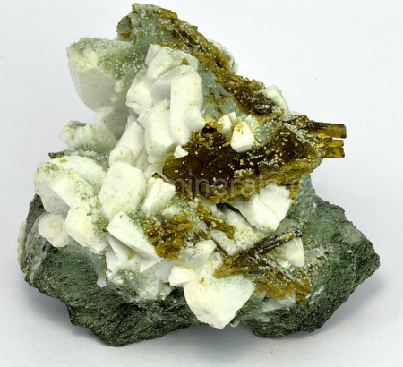 EPIDOT