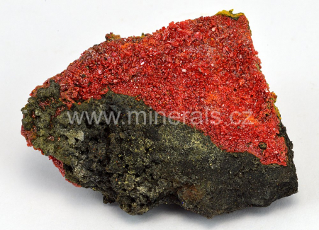 REALGAR