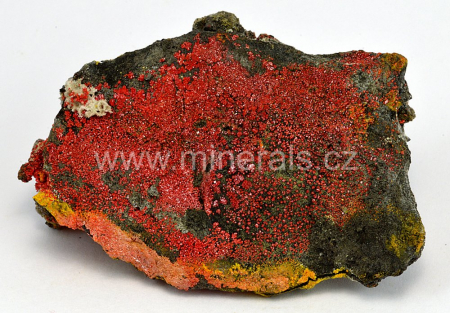 REALGAR