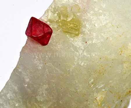 SPINEL