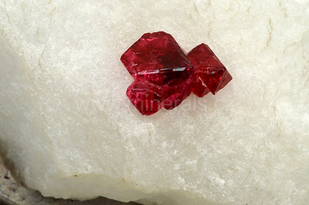 SPINEL