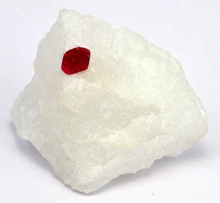 SPINEL