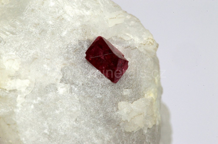 SPINEL