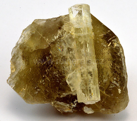 FENAKIT
