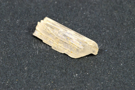 HAMBERGIT