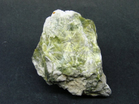 WAVELLIT