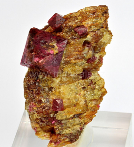 SPINEL