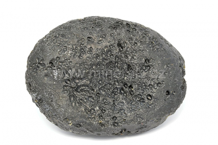 INDOČÍNIT