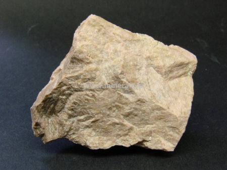 KUTNOHORIT