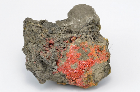 REALGAR