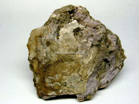 FEDORIT