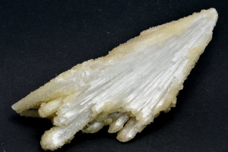 SKOLECIT