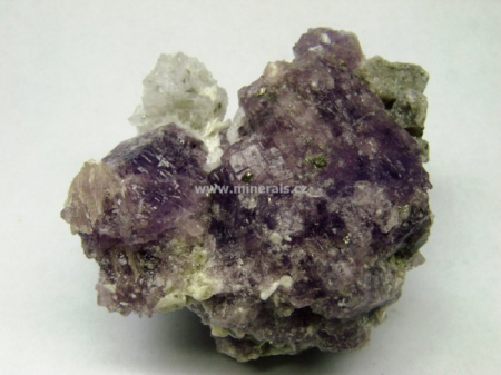 COQUIMBIT