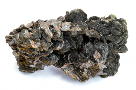 DESCLOISIT